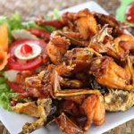 Cách làm ếch chiên bột THƠM NGON – HẤP DẪN bạn không thể bỏ lỡ
